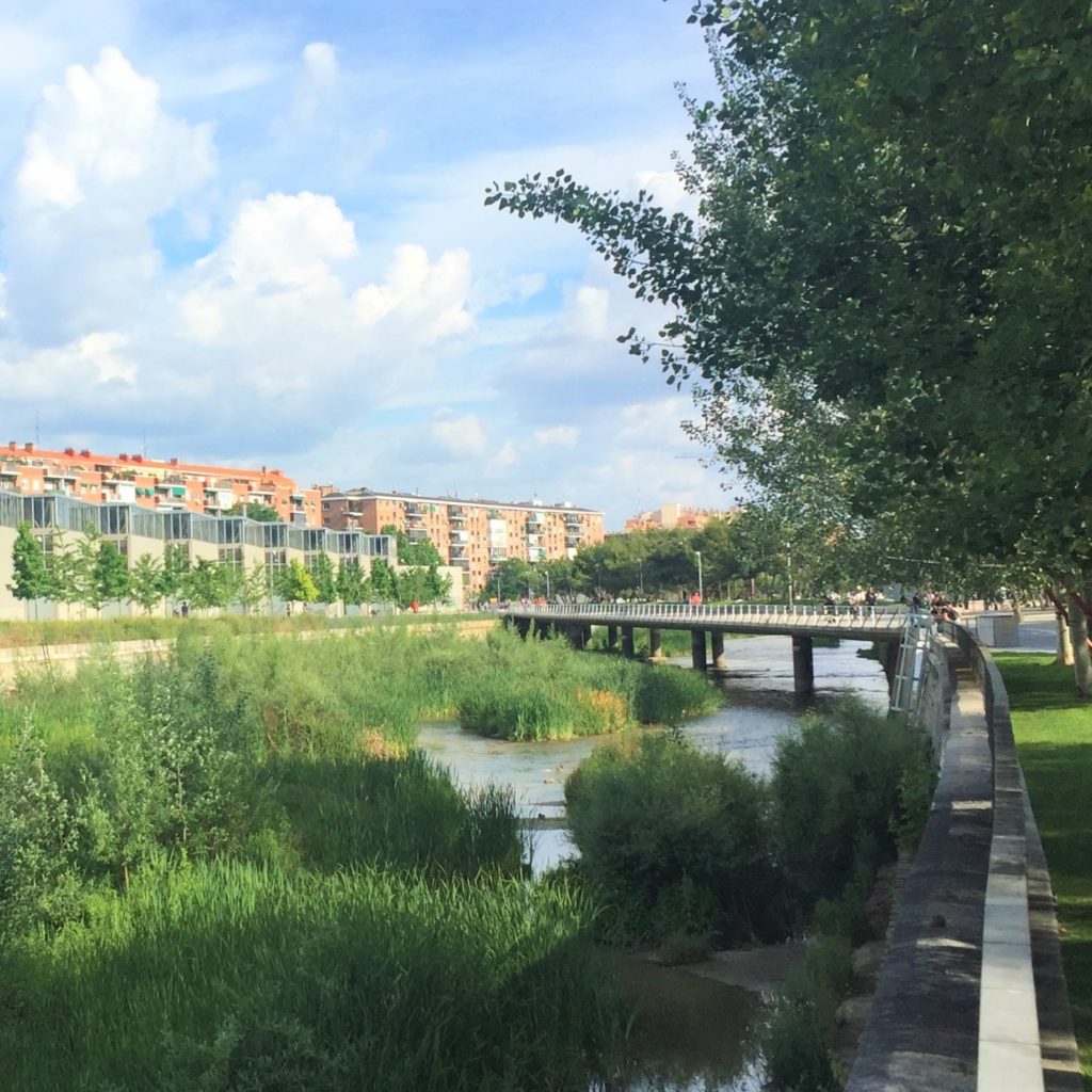 tour en bici madrid río manzanares renaturalizado